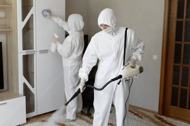 Best Basement Mold Remediation in Galion, OH