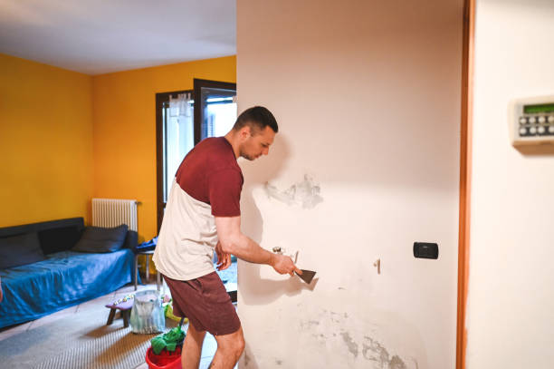 Best Health and Safety Mold Remediation in Galion, OH